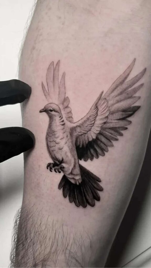 Dove Tattoo Ideas