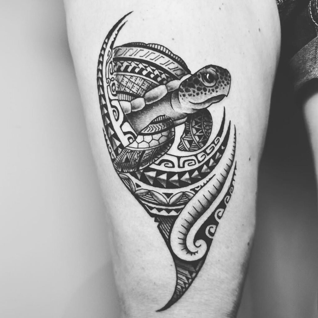 Turtle Tattoo Ideas