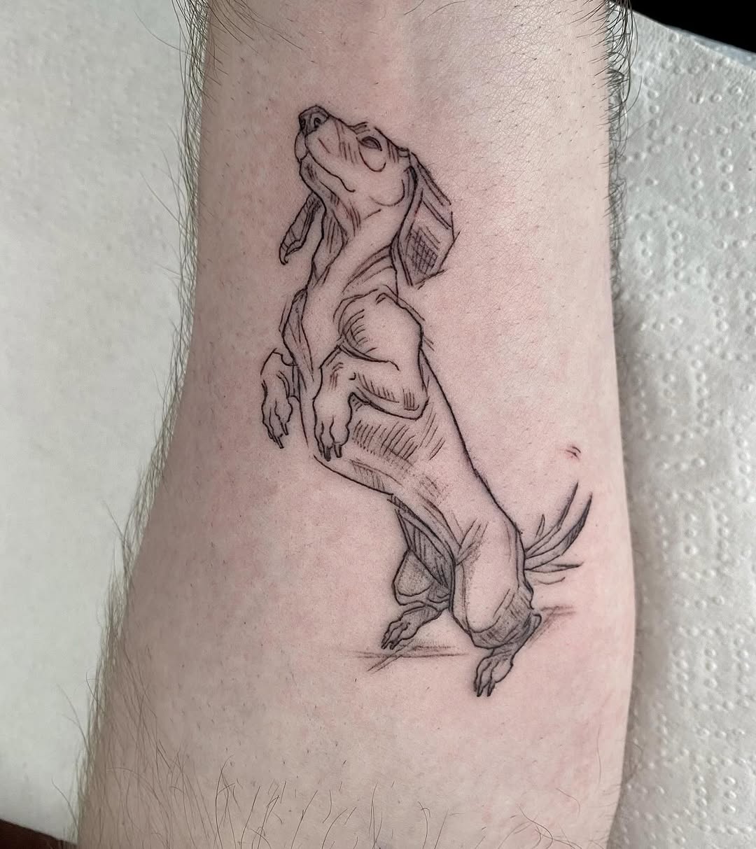 Sausage Dog Tattoo Ideas