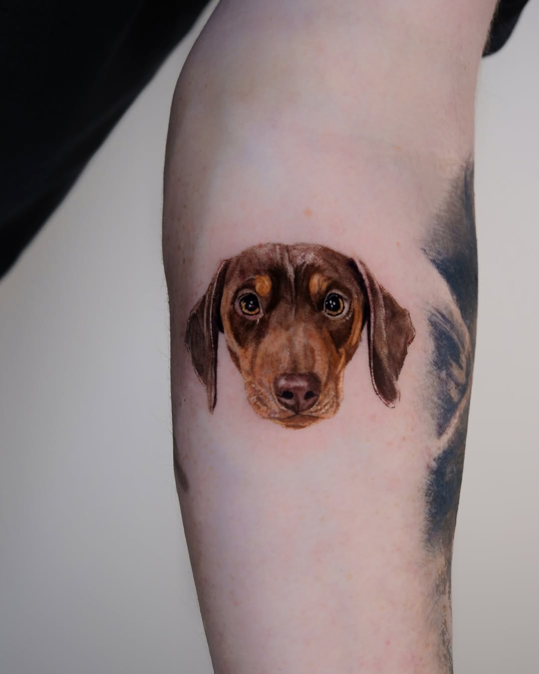Sausage Dog Tattoo Ideas