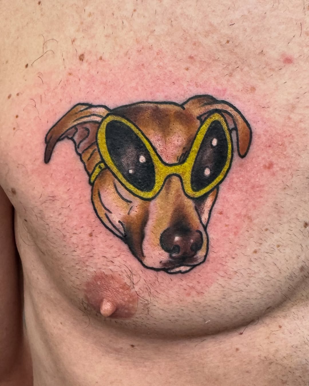 Sausage Dog Tattoo Ideas